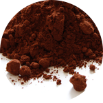Theobroma cacao (cocoa)